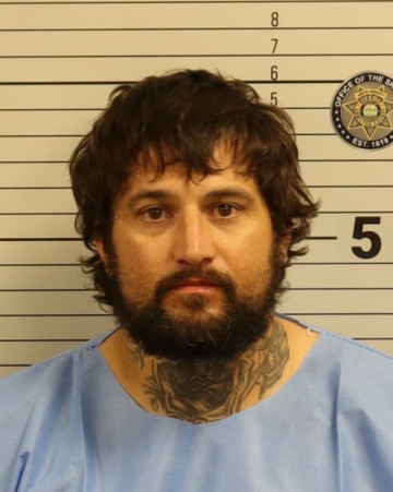 Mugshot of PATRICK SHANE MILLSAPS