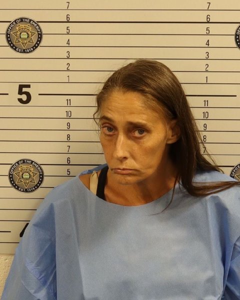 Mugshot of CRYSTAL ELAINE CASTLEBERRY
