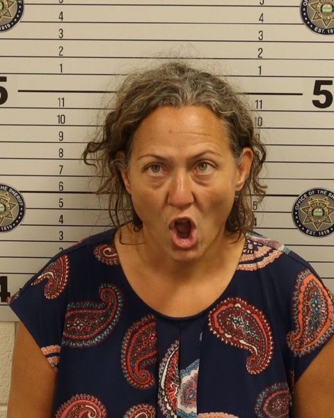 Mugshot of CRYSTAL L. HULSEY