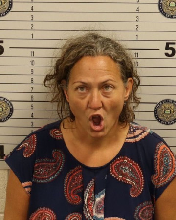 Mugshot of CRYSTAL L. HULSEY