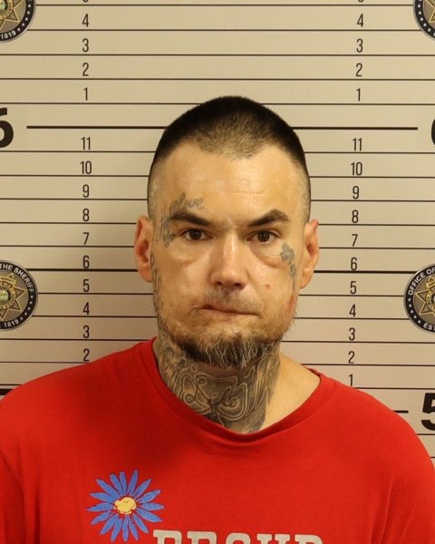 Mugshot of MATTHEW HENRY POYTHRESS