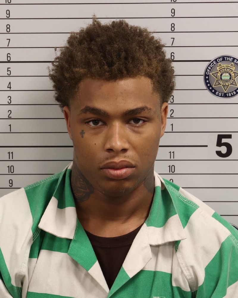 Mugshot of BRIAN DEON WILSON