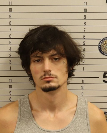 Mugshot of DIAMOND BLAKE NICHOLSON