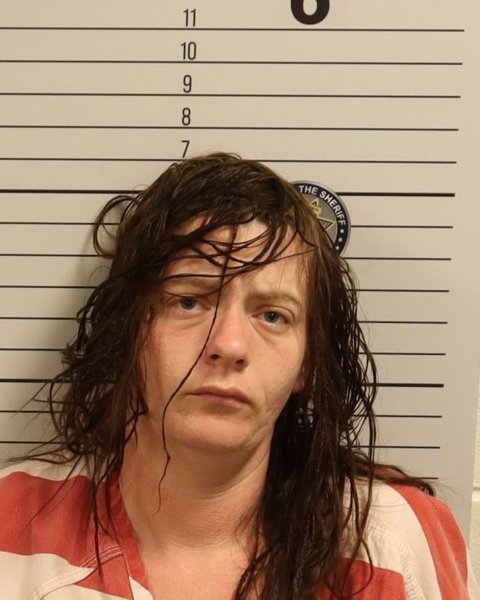 Mugshot of JESSICA LYNN KOOBS