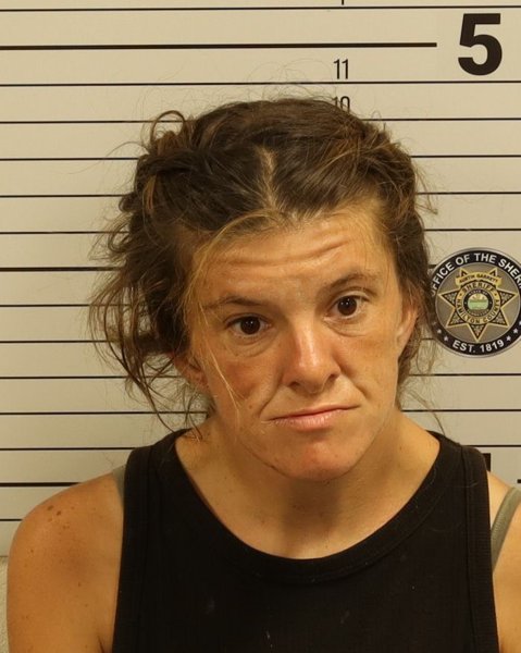 Mugshot of PRISCILLA ANN ROBINSON