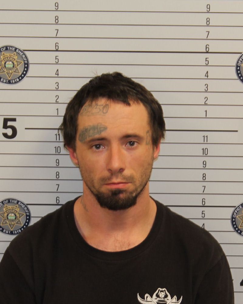 Mugshot of DUSTIN REED DELASHMITT