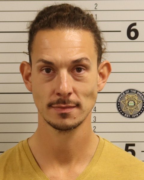 Mugshot of NICHOLAS LEE PLEMONS
