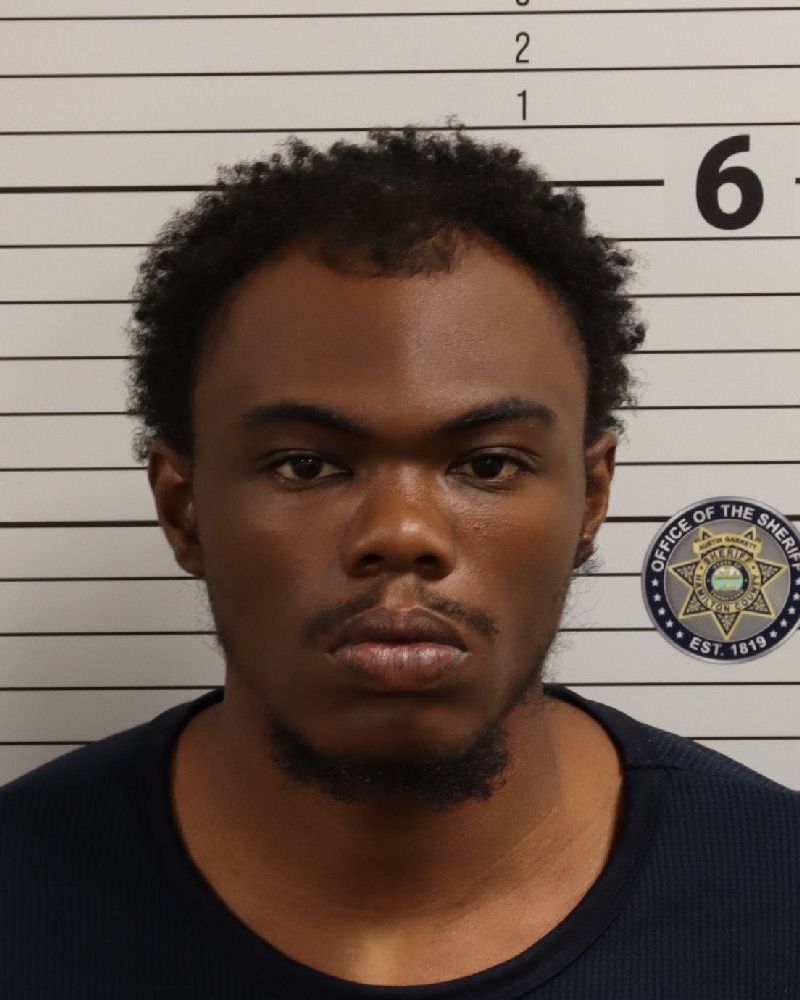 Mugshot of DOMMONIC NOVEL DEWAYNE JOHNSON