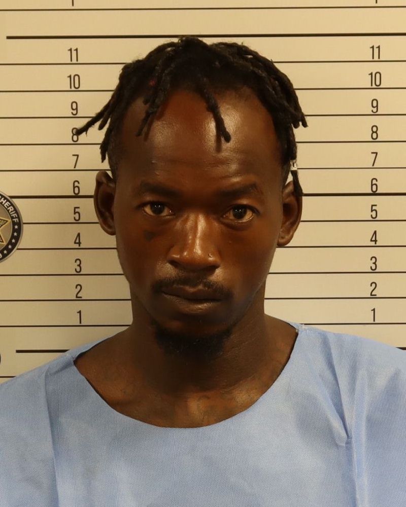 Mugshot of DAMON LAMONT WARREN