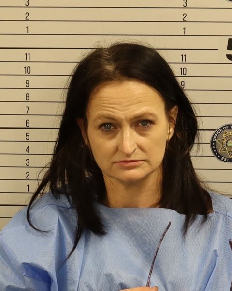 Mugshot of CHRISTIN LYNN WATTS