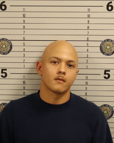 Mugshot of VICTOR ALEXANDER OLMEDO