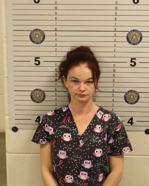 Mugshot of SUSAN RENEE DAVIS