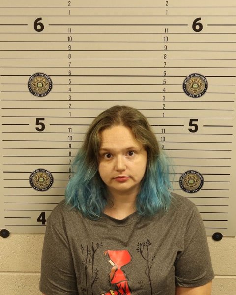 Mugshot of ELIZABETH LEE VANBEUKERINGTATTO