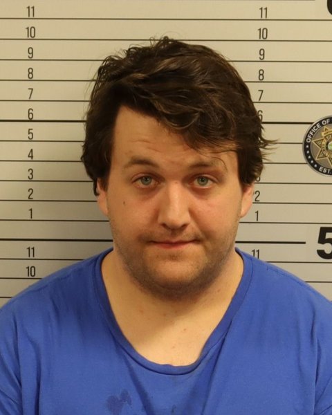 Mugshot of RONALD BRETT GARDIN
