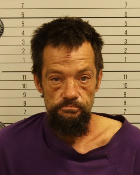 Mugshot of RONNIE LEE MCDANIEL