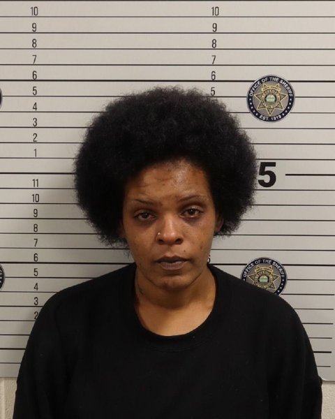 Mugshot of REKITA RENEE WATKINS