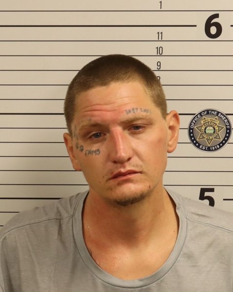 Mugshot of RONALD ALAN NICHOLS