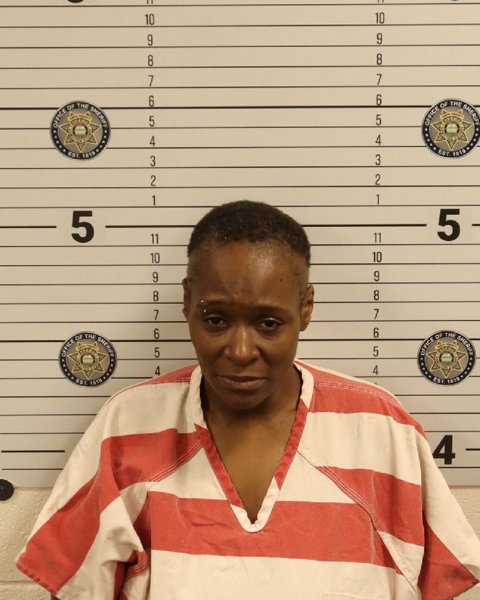 Mugshot of YAMINA QUANTE WILLS