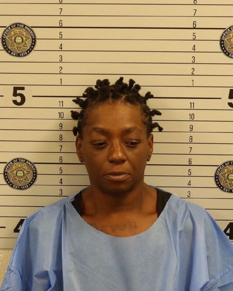 Mugshot of ERIKA MICHELLE MALONE