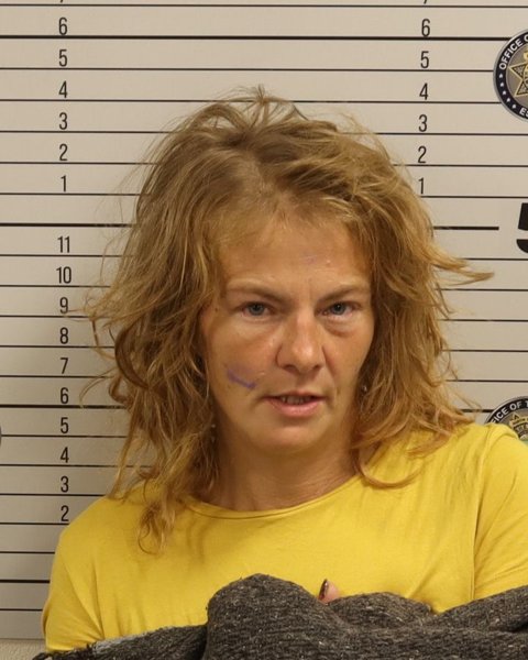 Mugshot of KRISTY MICHELLE TAYLOR
