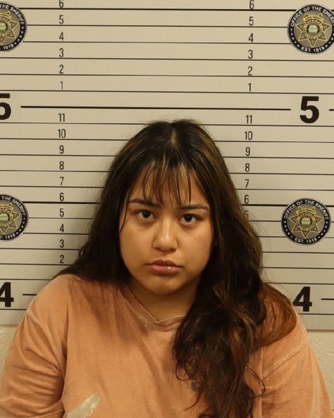 Mugshot of LUPITA DEL SOCORRO VILLASENOR HUERTA