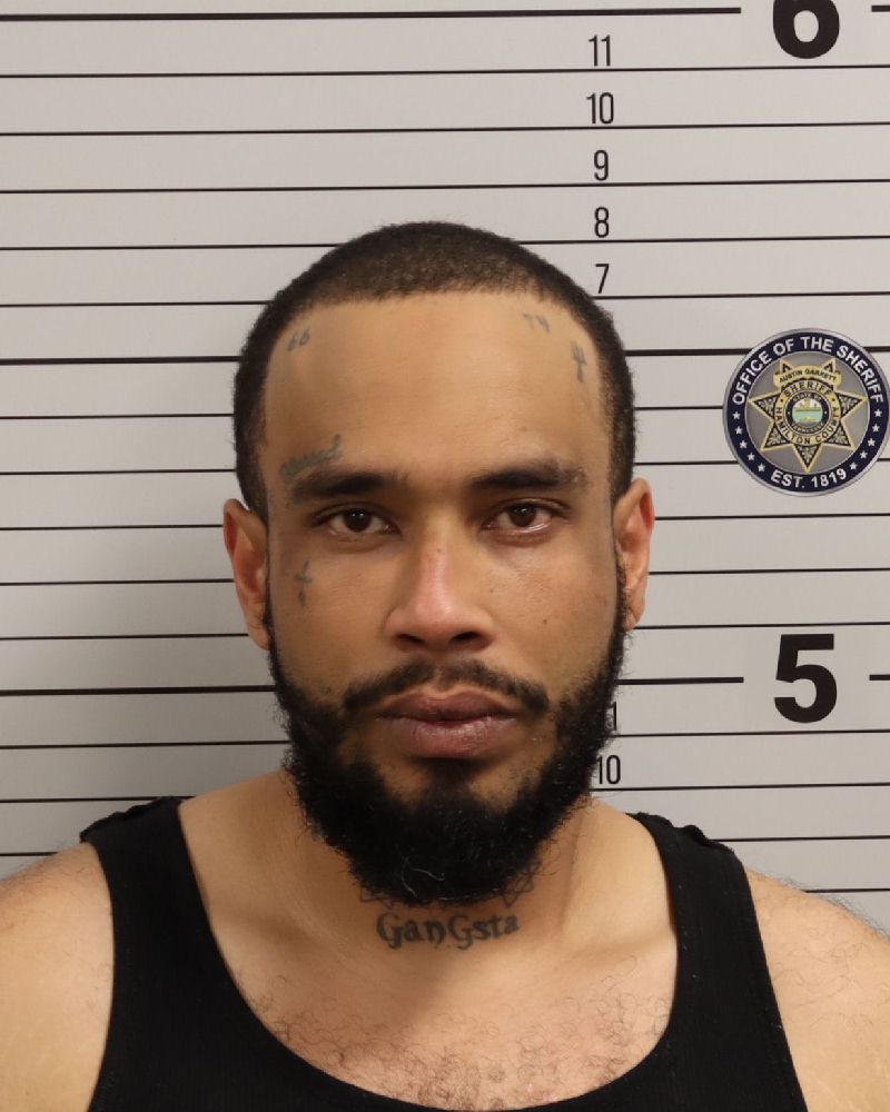 Mugshot of THOMAS TERRELL WILLIAMS