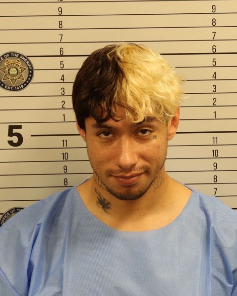 Mugshot of RICARDO DAVID LONG