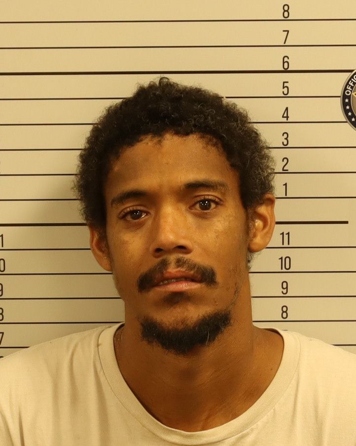 Mugshot of TEVIN JARELL ROBINSON