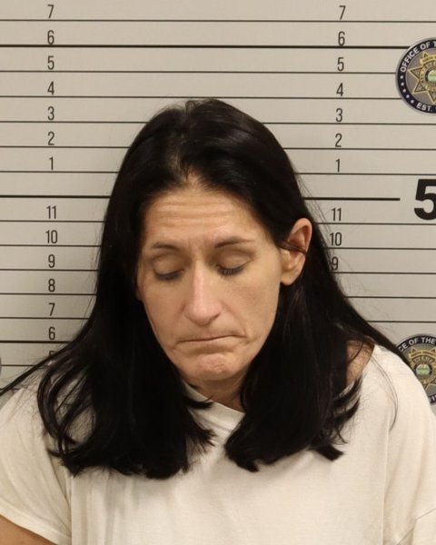 Mugshot of ELIZABETH ASHLEY ARNETT