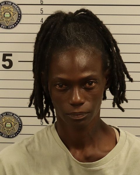 Mugshot of KATRINA SHREE BROWN