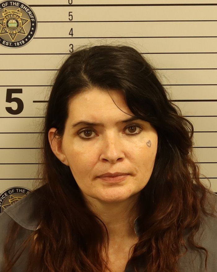 Mugshot of VANESSA MARIE FORTNER