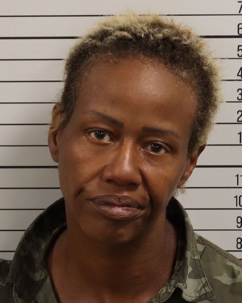 Mugshot of BRANDY M HARRIS
