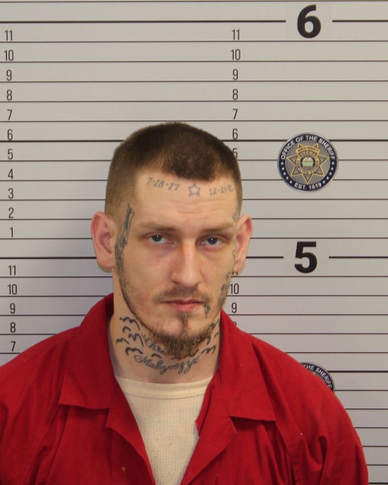 Mugshot of DAVID ARNOLD WILKEY FOX