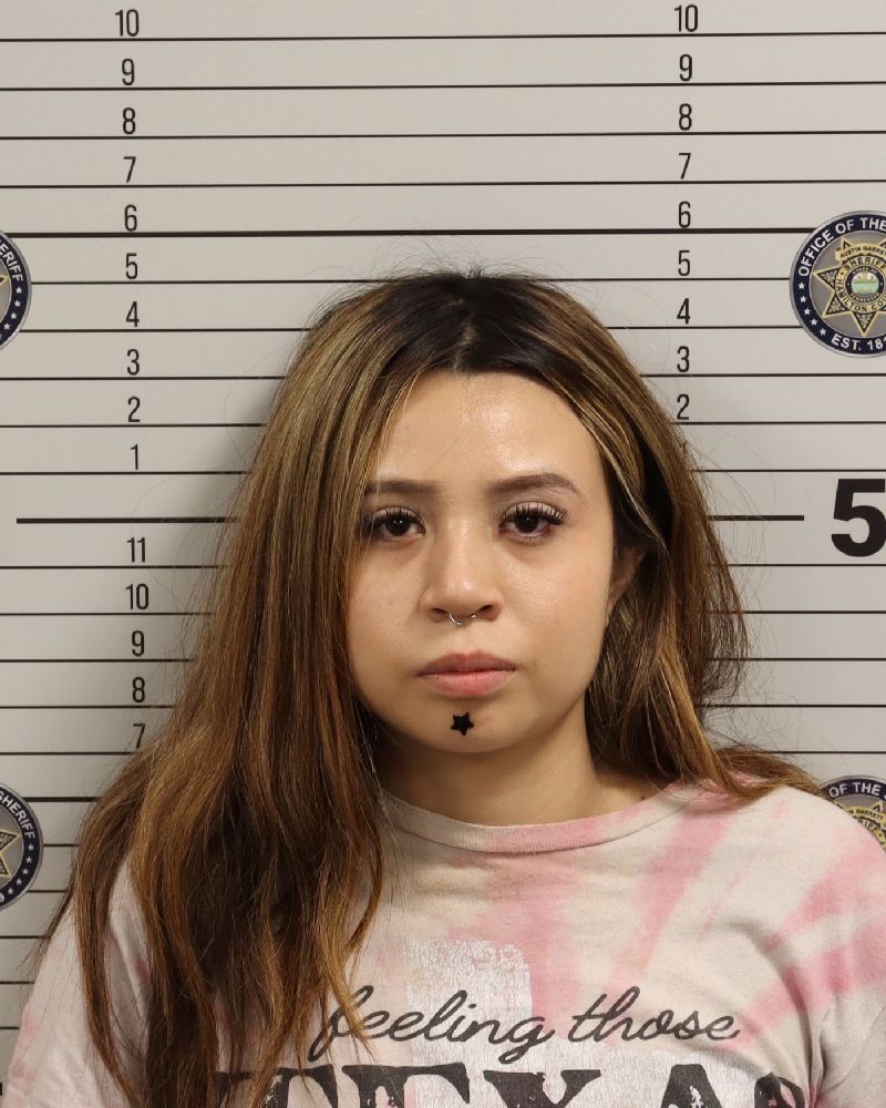 Mugshot of ASHLY VIRIDIANA MENDEZ DEL-CID