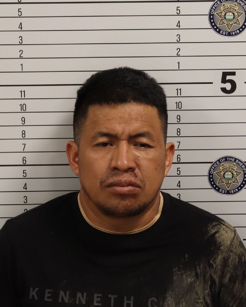 Mugshot of ORLANDO REYNOSO PEREZ
