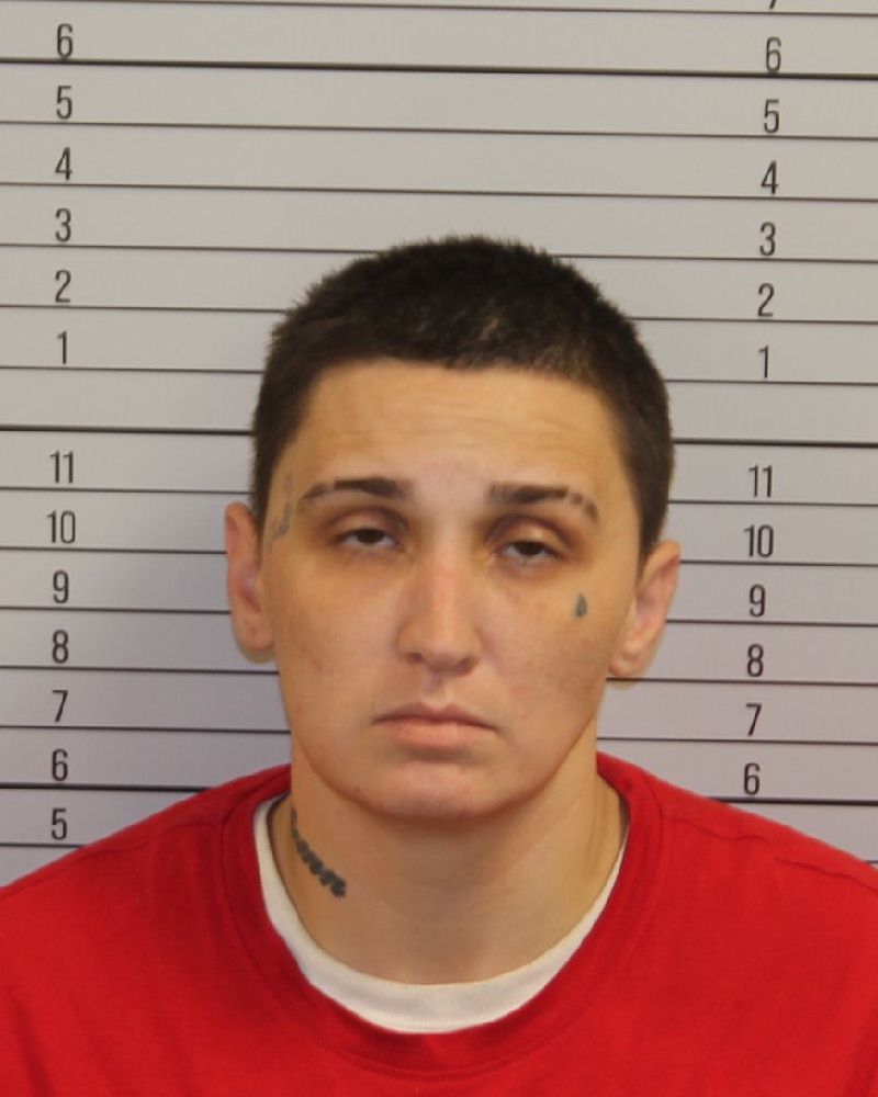 Mugshot of VALARIE SHAWNTAYE HARVEY