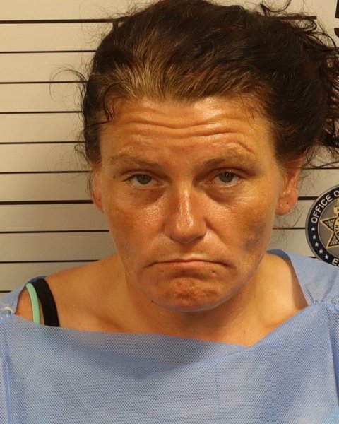 Mugshot of FRANCIS LOUISE PARKS