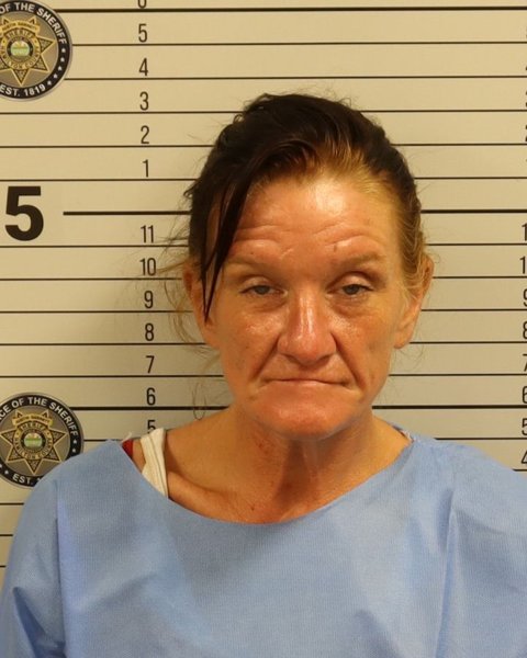 Mugshot of BRANDY ELIZABETH TURNER