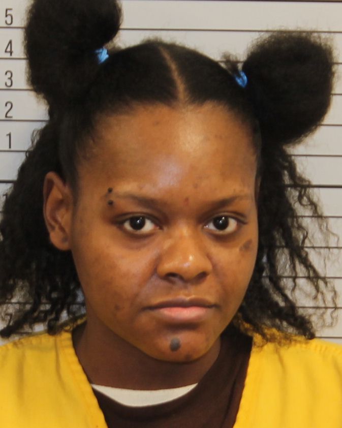 Mugshot of BRITTANI HARMON