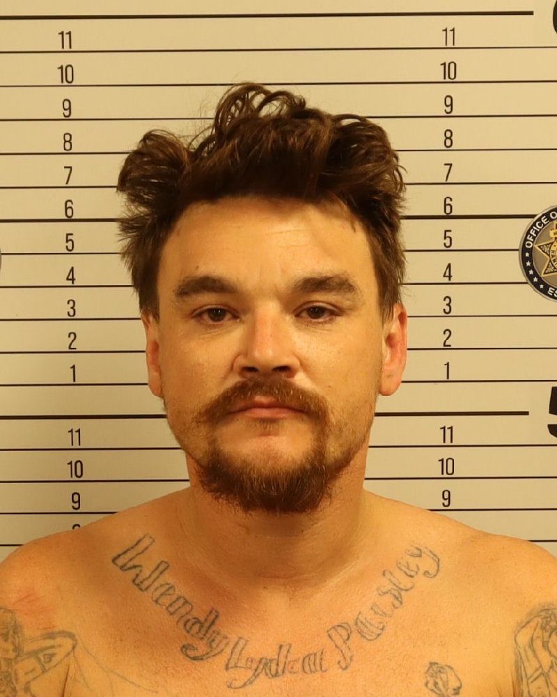 Mugshot of TREVOR DANIEL MERCIERS