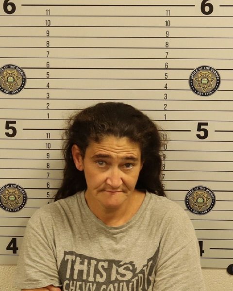 Mugshot of ROBIN RENEE NEDOFF