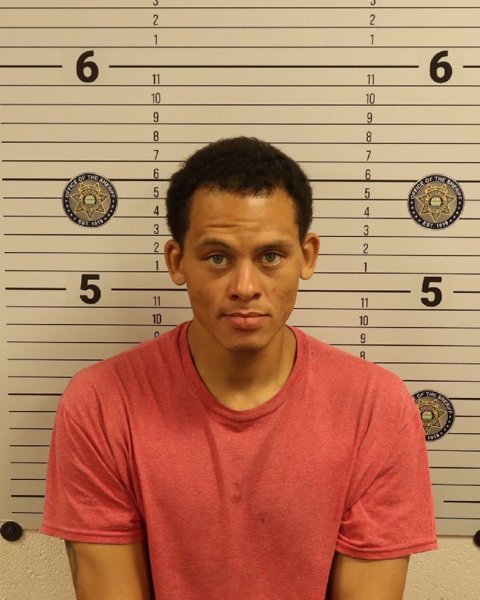 Mugshot of TRACE MICHEAL MCGILL