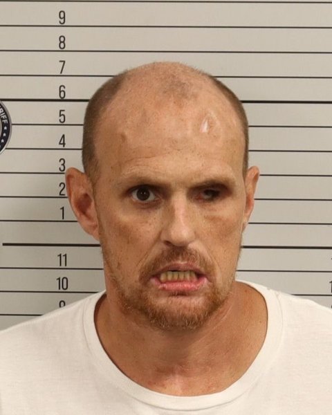 Mugshot of JAMES RONALD DIXON