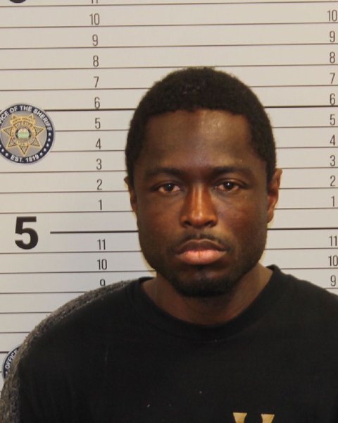 Mugshot of GERALD WAYLON NELSON