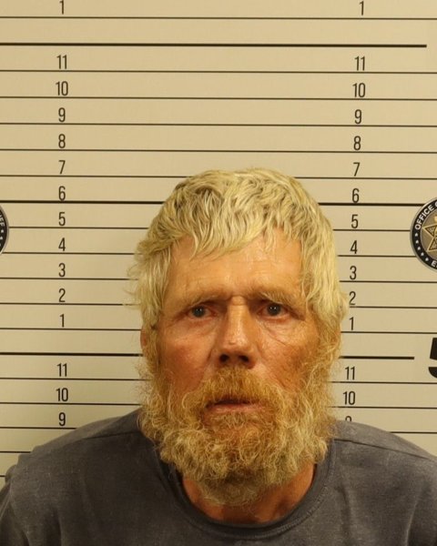 Mugshot of BRUCE AARON REED
