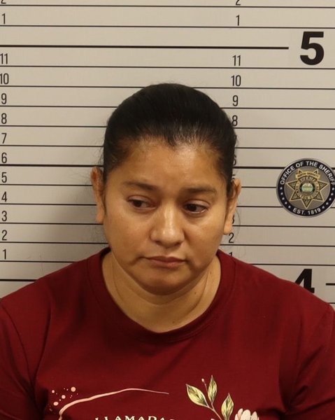 Mugshot of DAMARIS REYES GARCIA