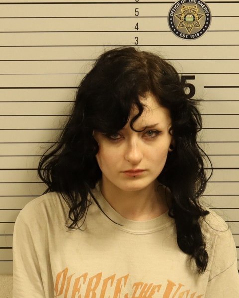 Mugshot of MCKENZIE TAYLOR BOZZELLI