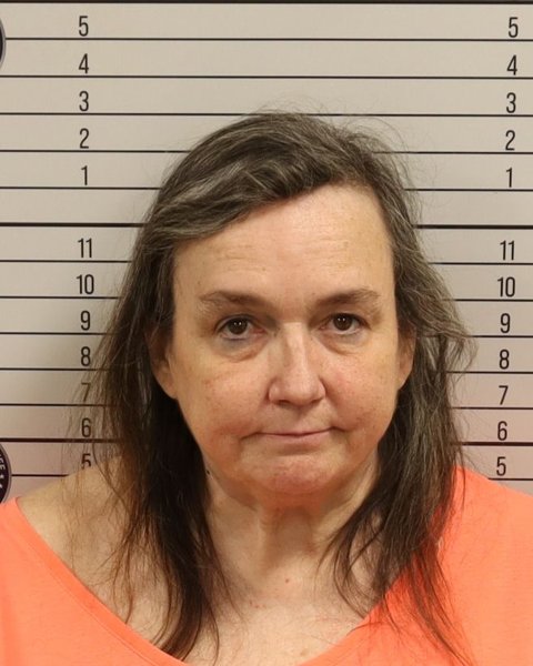 Mugshot of ARY C HOWARD