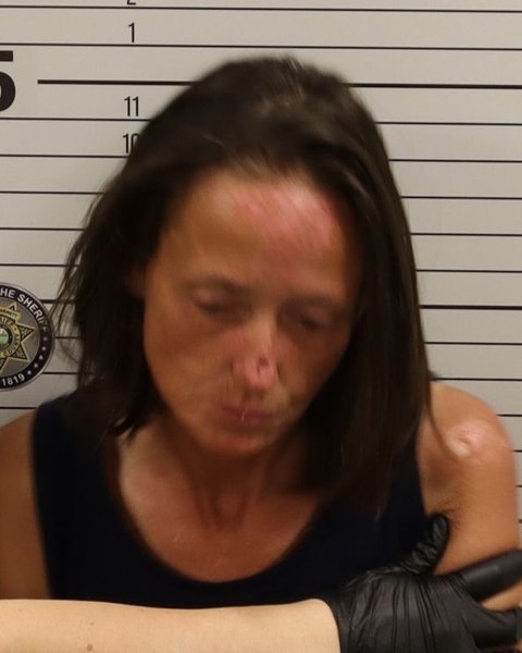 Mugshot of APRIL LEE SWISKI