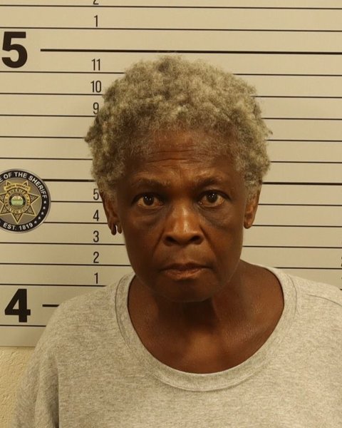 Mugshot of MARY THERESA NELSON